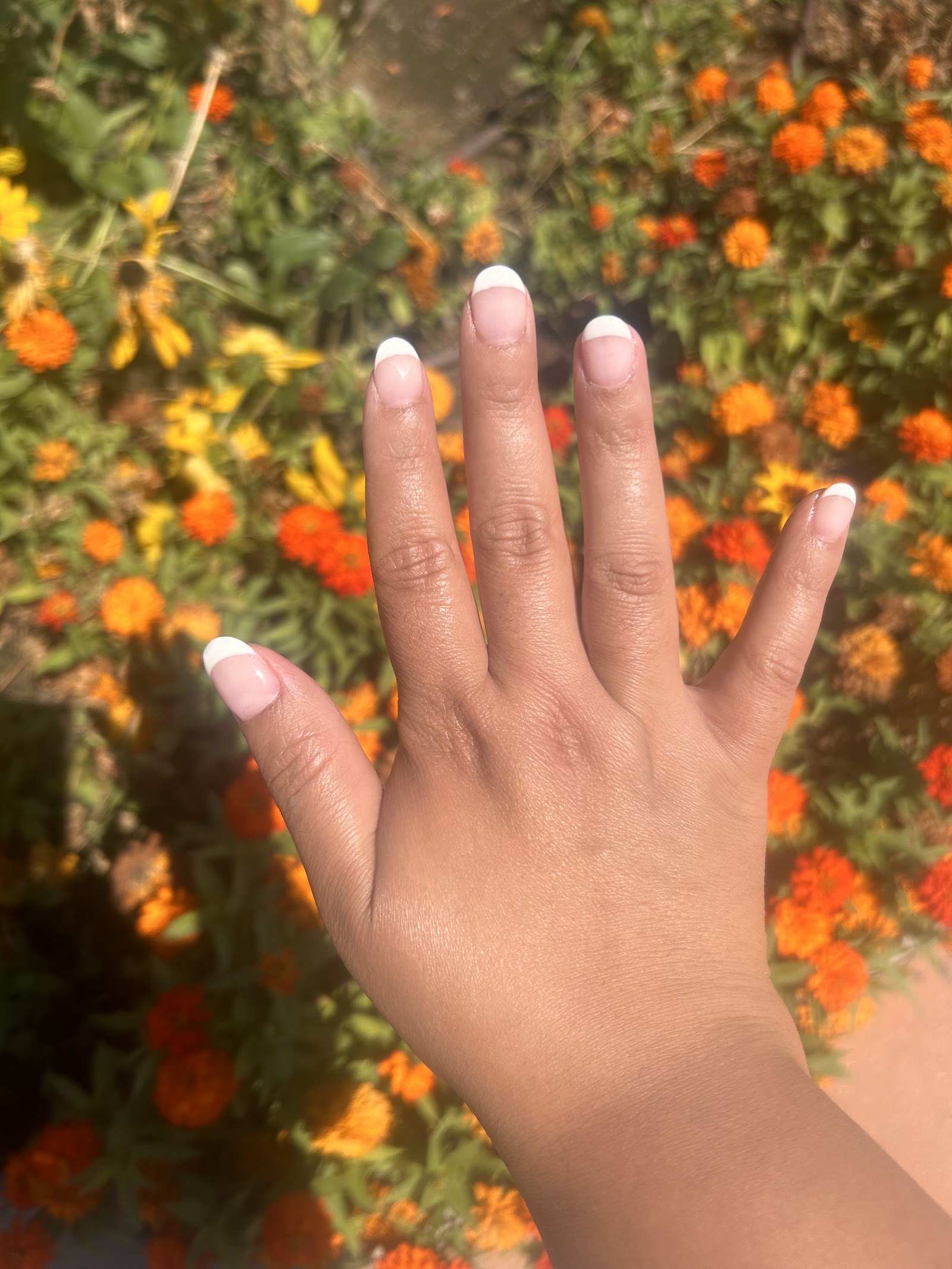 Nails Co nail photo 5